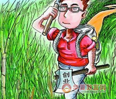 没钱没技术创业做什么好